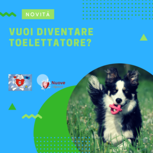 VUOI DIVENTARE TOELETTATORE- 1